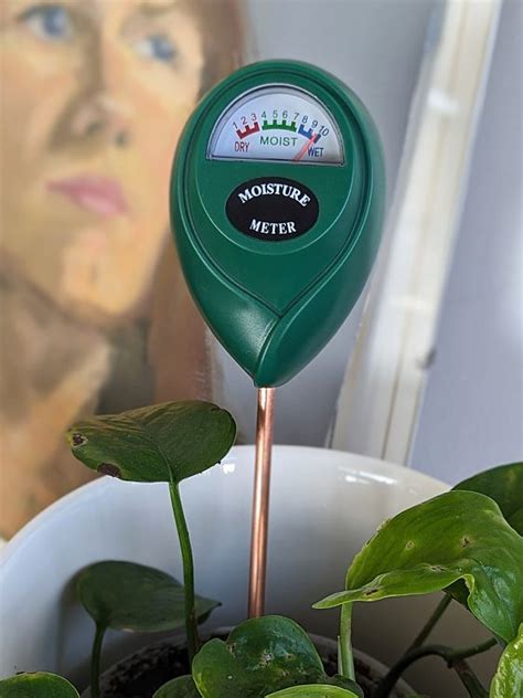 moisture meter pothos|moisture meter for pothos.